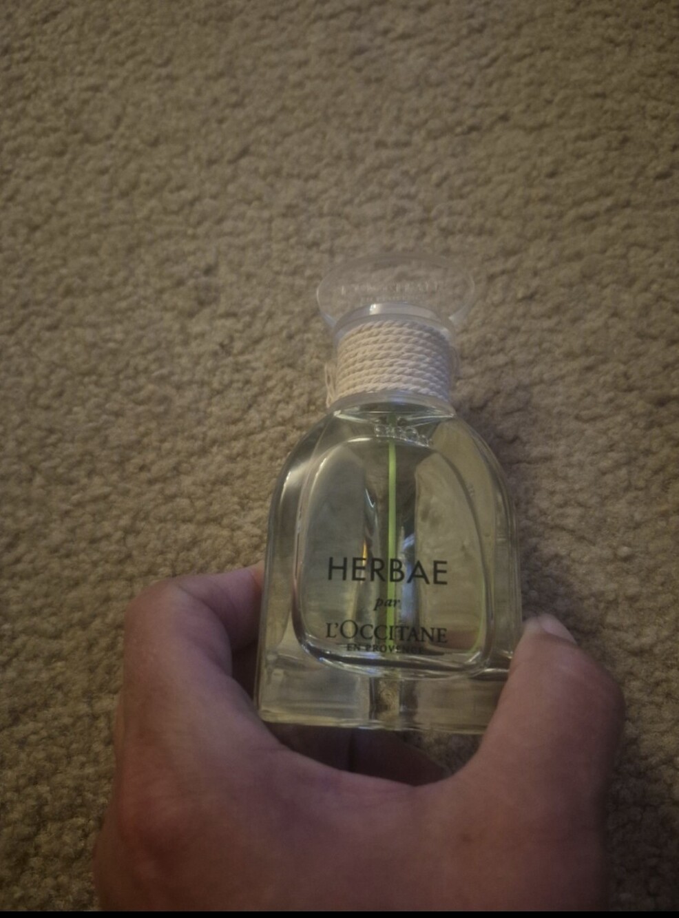 L'OCCITANE Herbae En Provence